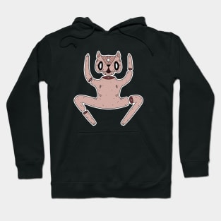 fu*k u cat Hoodie